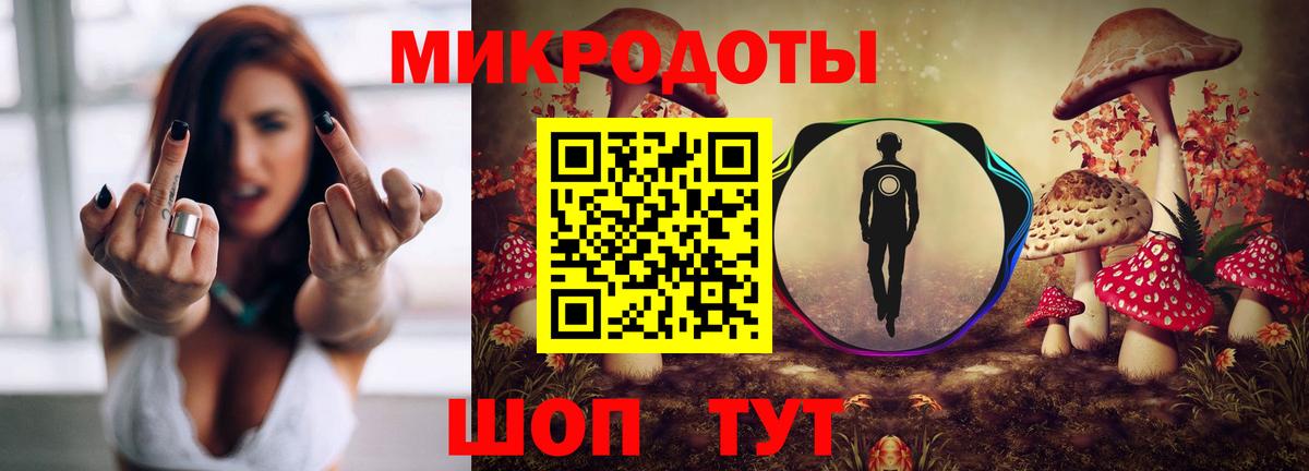 Галлюциногенные грибы Psilocybine cubensis  Вход с VPN  Тимашёвск  Галлюциногенные грибы мицелий 